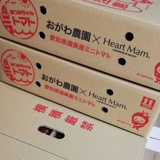 22066_案件個別_15_梱包
