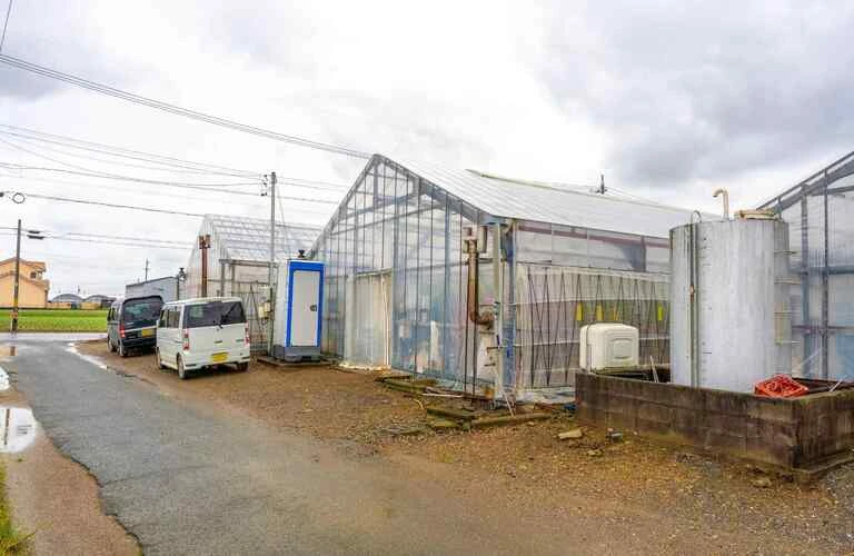 定期便を用意 | ミニトマトのお取り寄せなら渥美半島とまとランド