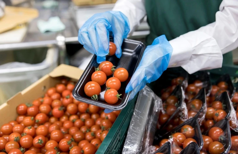 スーパーにも発送 | ミニトマトのお取り寄せなら渥美半島とまとランド