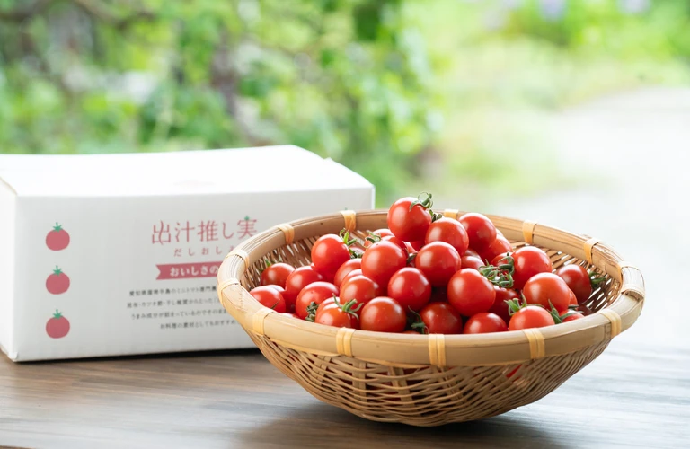農家直送のプレミアムなミニトマトをお取り寄せ♪